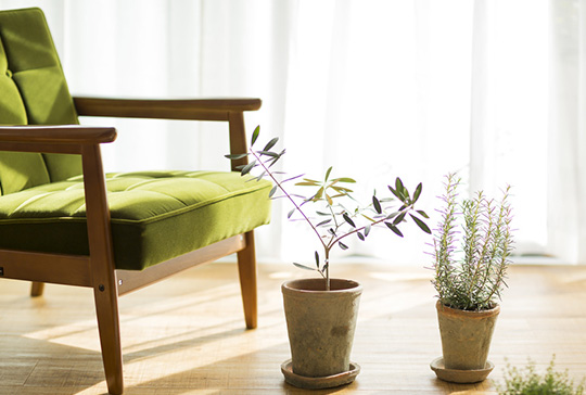 ガレージハウス